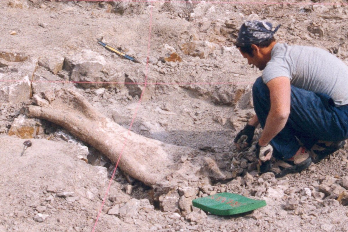 ARCE: Rediscovering Egypt’s Lost Dinosaurs with Dr. Matthew C. Lamanna